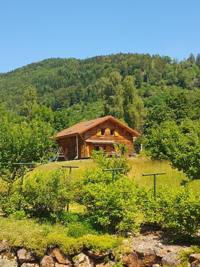 Chalet Des Charbonniers Avec Etang Saint-Maurice-sur-Moselle Exteriér fotografie