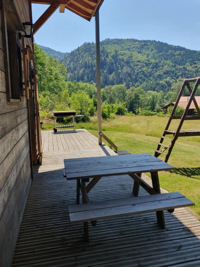 Chalet Des Charbonniers Avec Etang Saint-Maurice-sur-Moselle Exteriér fotografie